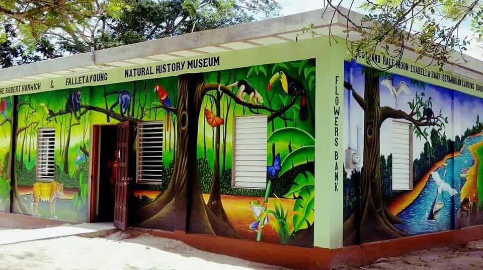 a photo of the community baboon visitor's center museum in belize. The museum is a one story building with a jungle mural on the side featuring various birds such as a tucan and a macaw